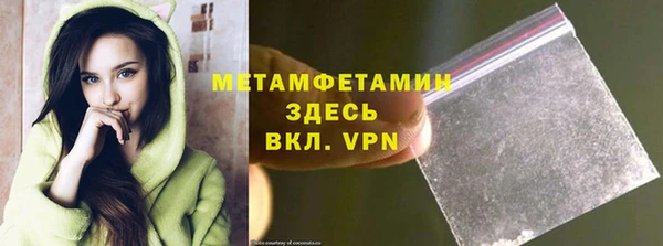 крисы Богородицк