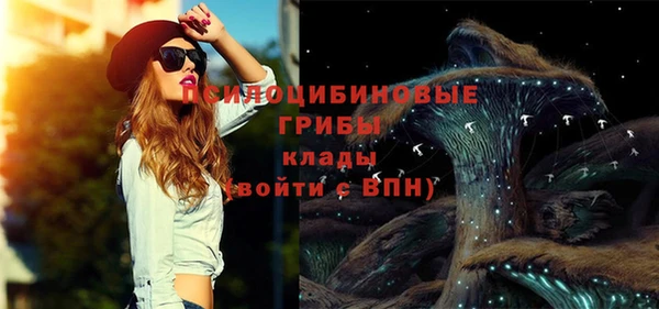 прущий лед Бронницы
