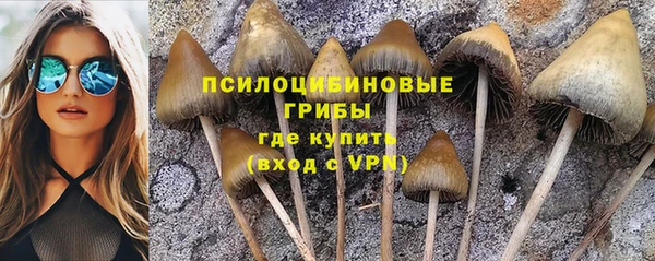 прущий лед Бронницы